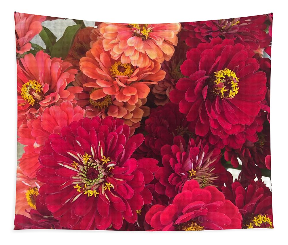 Peach and Pink Zinnias - Tapestry