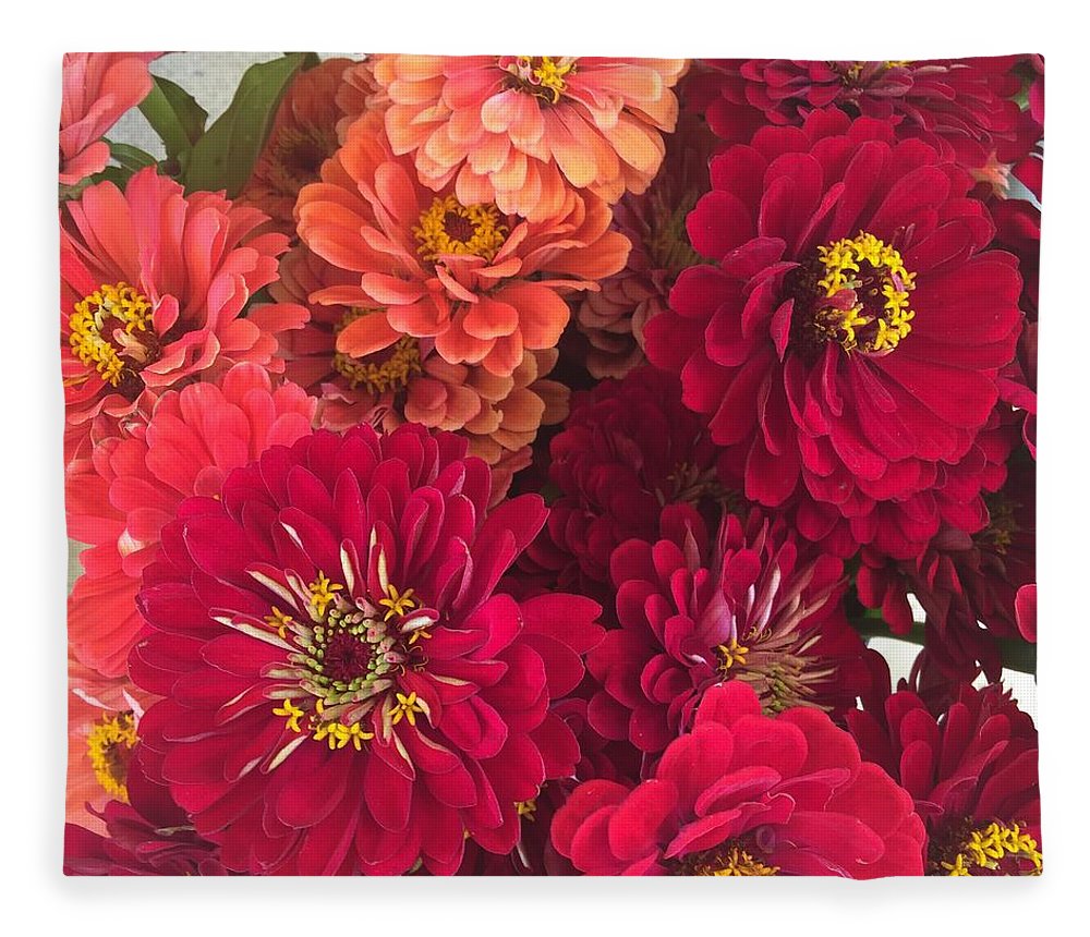Peach and Pink Zinnias - Blanket