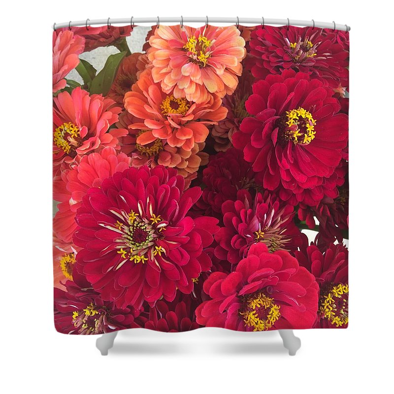 Peach and Pink Zinnias - Shower Curtain