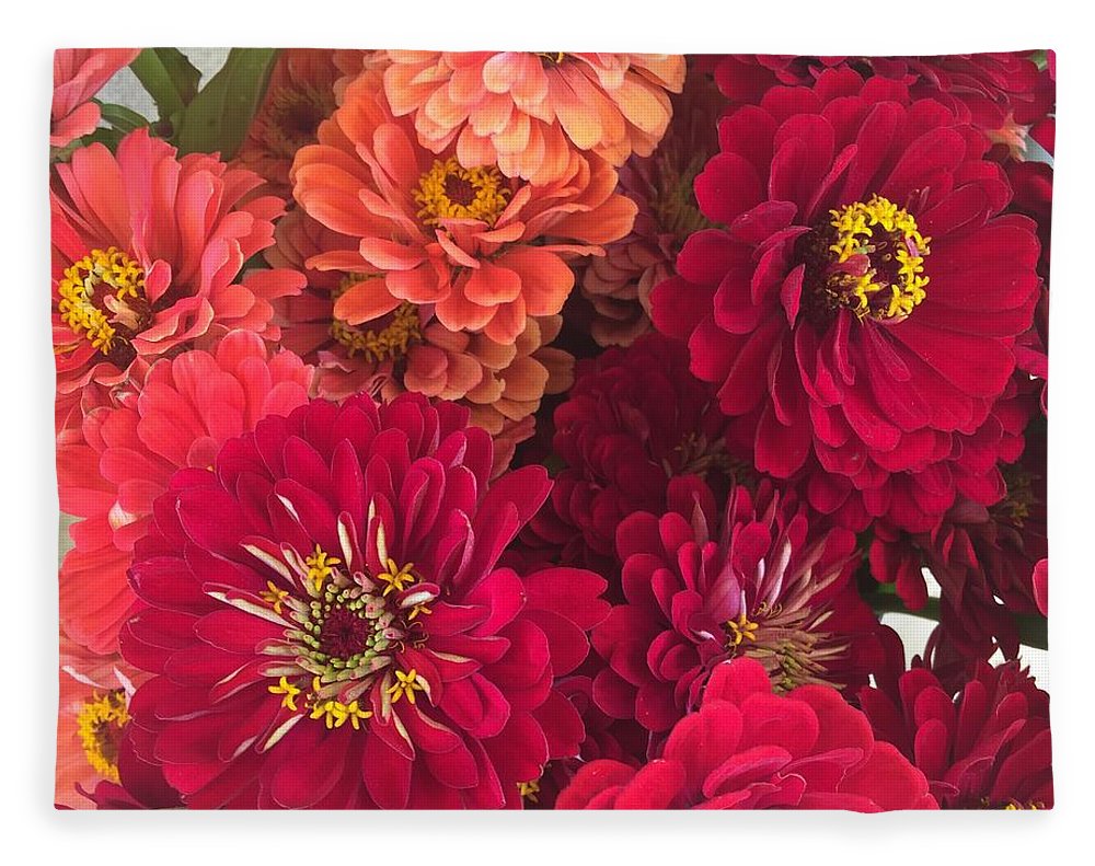 Peach and Pink Zinnias - Blanket