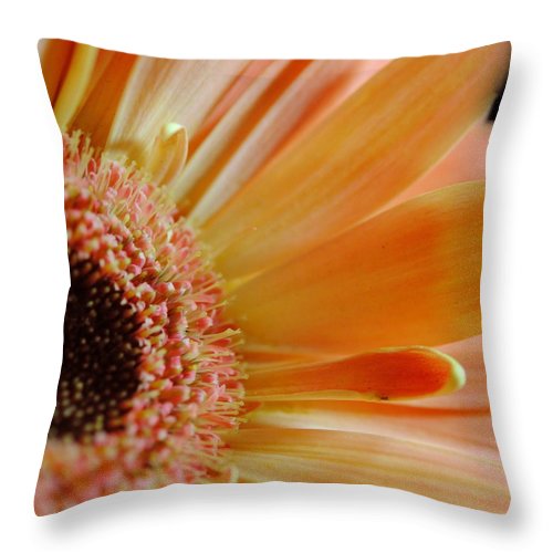Peach Daisy Sideview - Throw Pillow