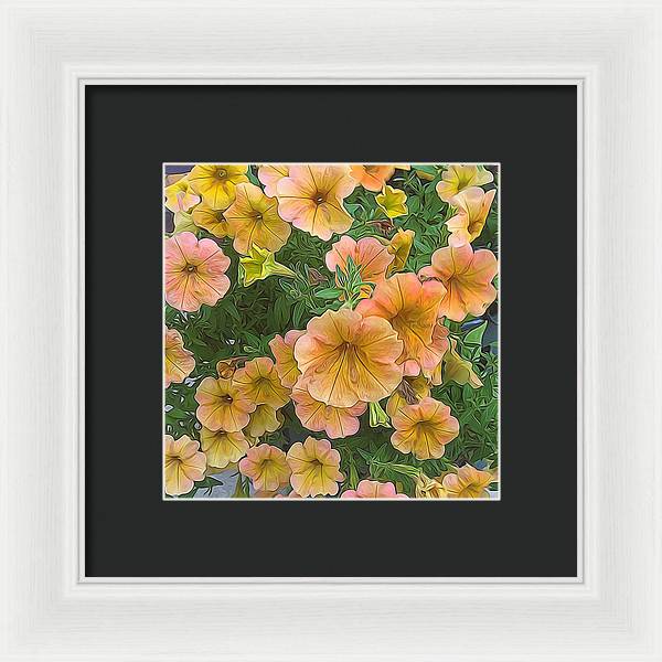 Peach Petunias - Framed Print