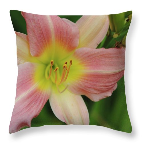 Peaches and Cream Lily - Throw Pillow