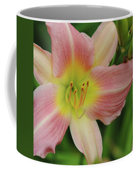 Peaches and Cream Lily - Mug