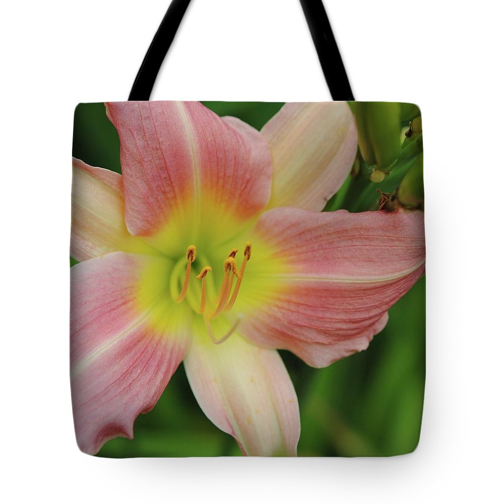 Peaches and Cream Lily - Tote Bag