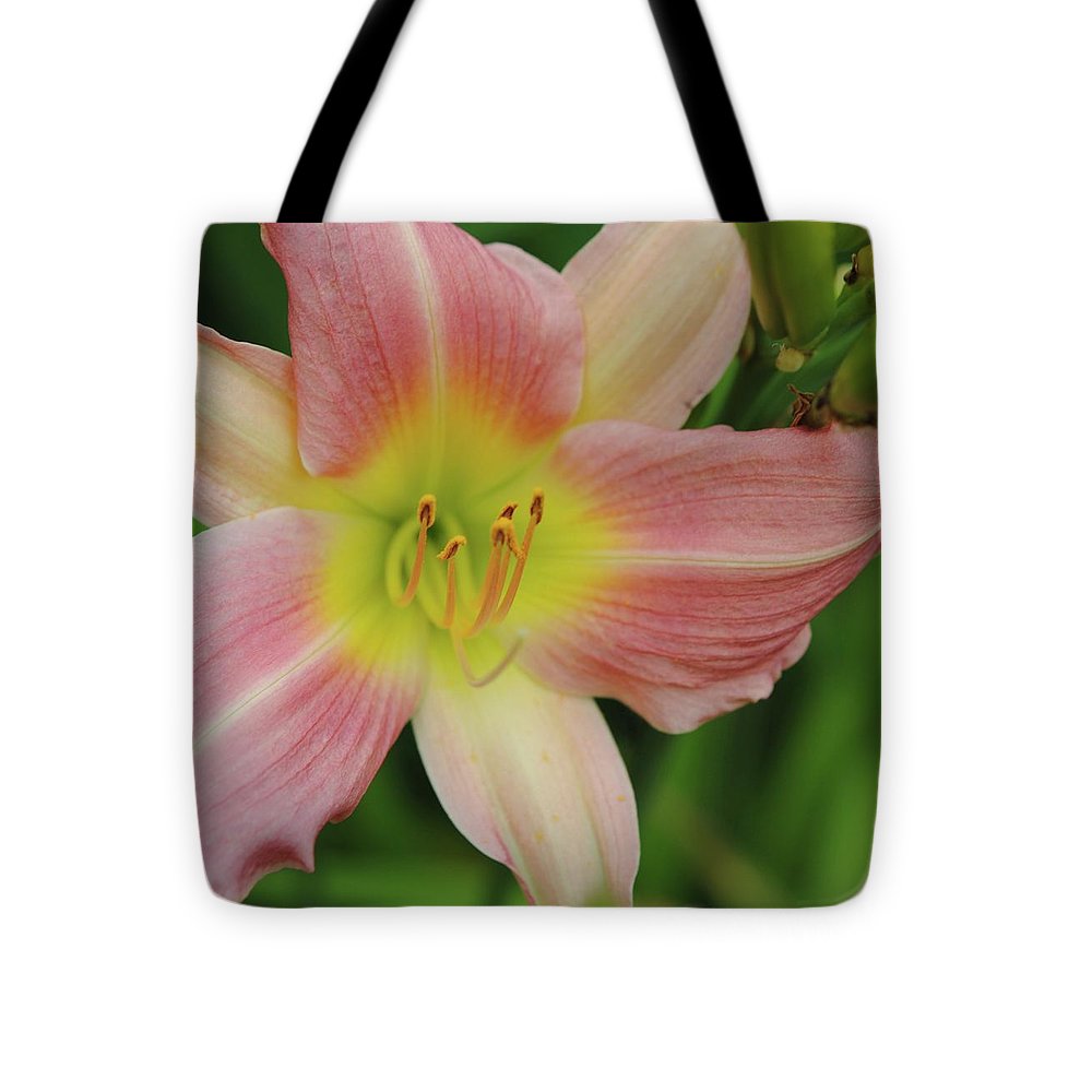 Peaches and Cream Lily - Tote Bag