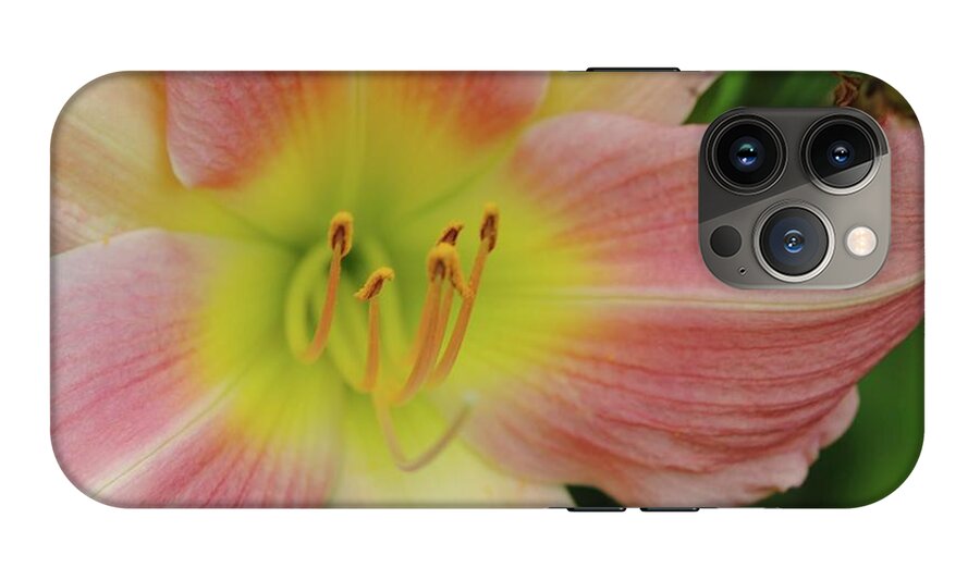 Peaches and Cream Lily - Phone Case