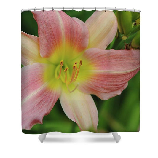 Peaches and Cream Lily - Shower Curtain