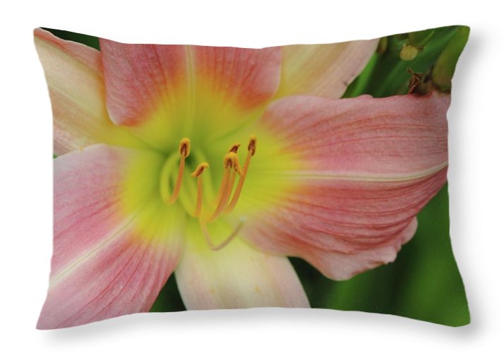 Peaches and Cream Lily - Throw Pillow
