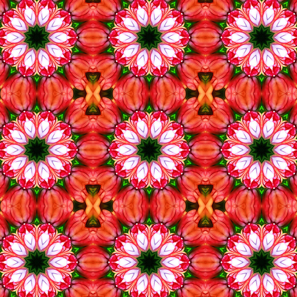 Peachy Flower Kaleidoscope Digital Image Download