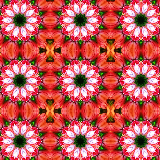 Peachy Flower Kaleidoscope Digital Image Download