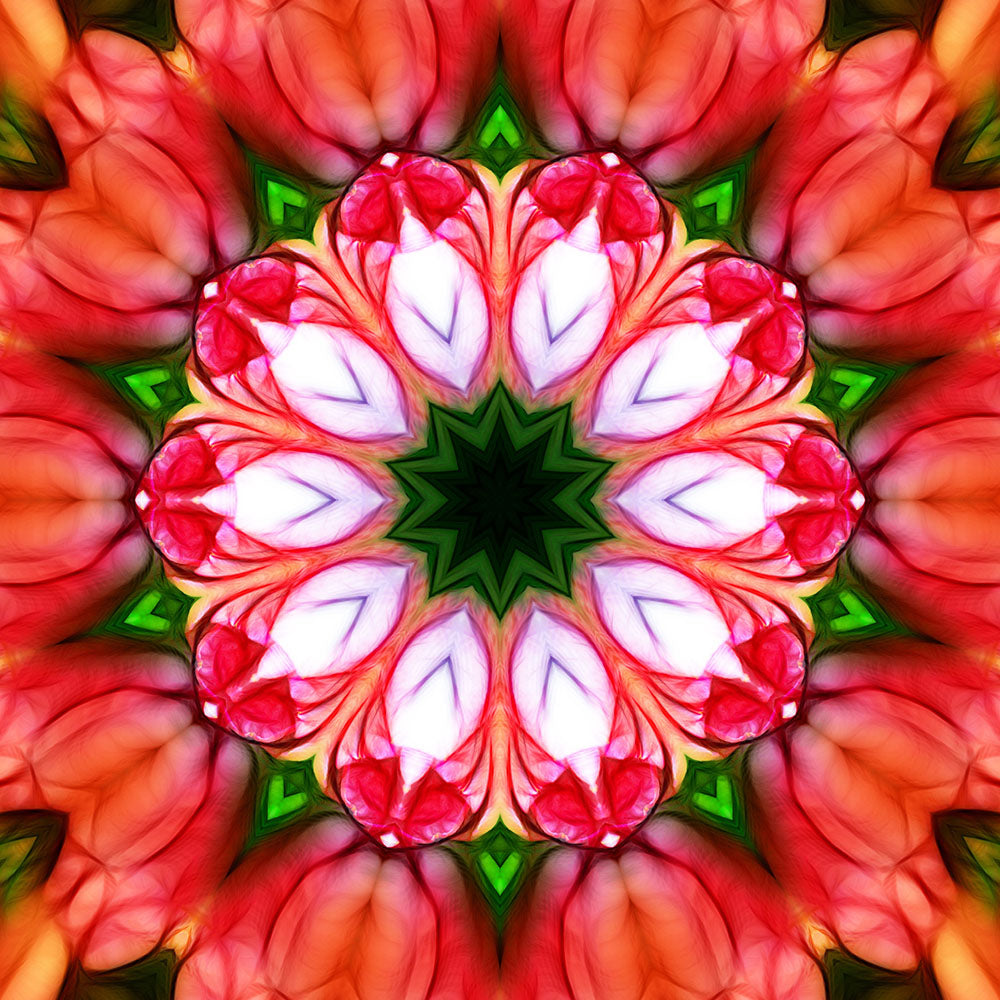 Peachy Pink Flower Kaleidoscope Digital Image Download