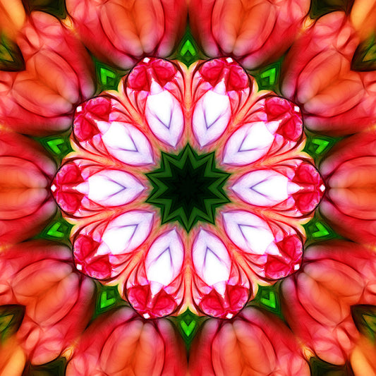 Peachy Pink Flower Kaleidoscope Digital Image Download