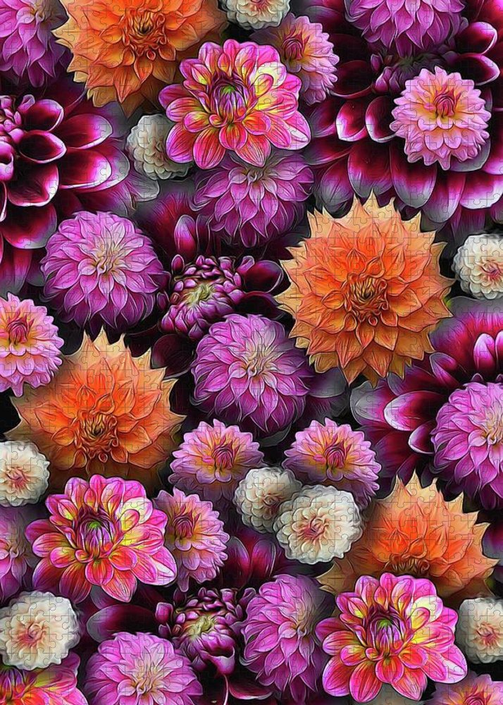 Pink and Orange Dahlias Collage - Puzzle
