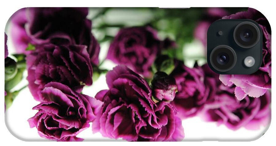 Pink and Purple Carnations On Lightbox - Phone Case