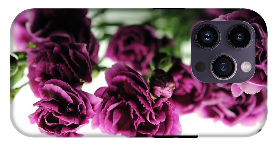 Pink and Purple Carnations On Lightbox - Phone Case