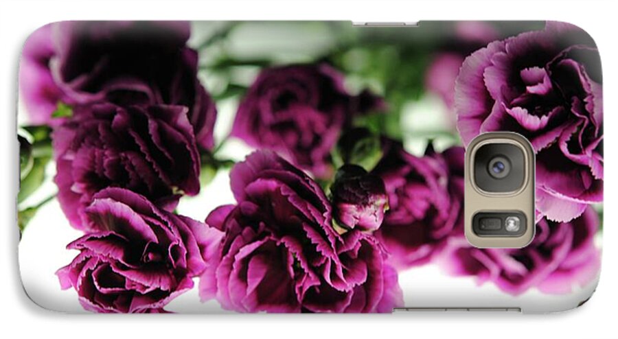 Pink and Purple Carnations On Lightbox - Phone Case