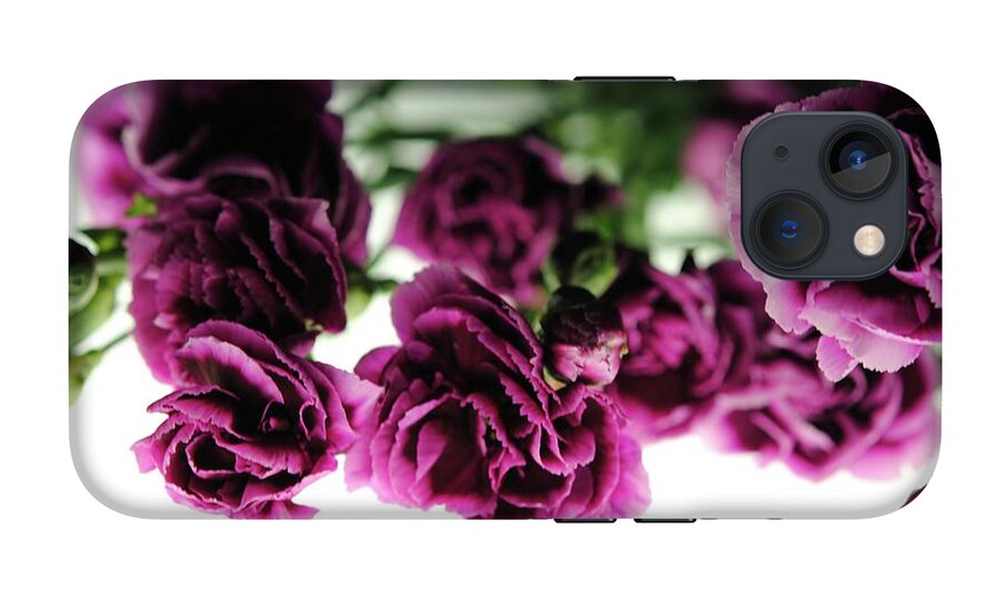 Pink and Purple Carnations On Lightbox - Phone Case