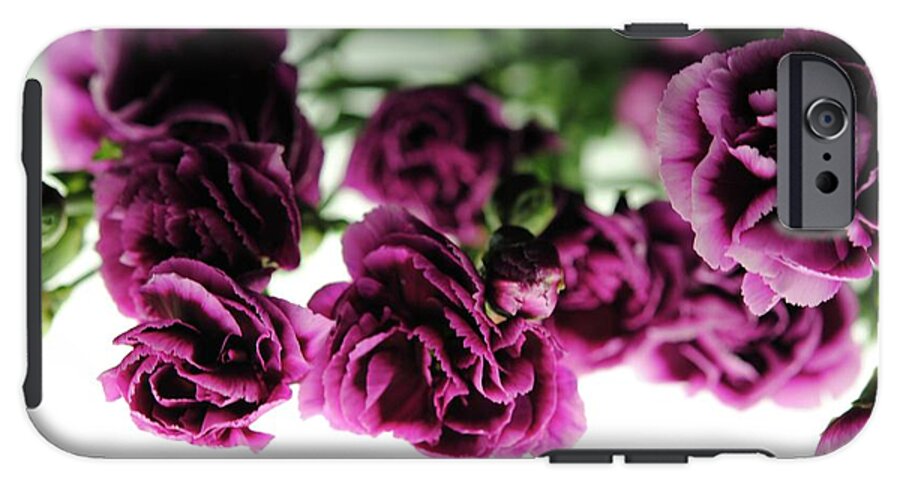 Pink and Purple Carnations On Lightbox - Phone Case