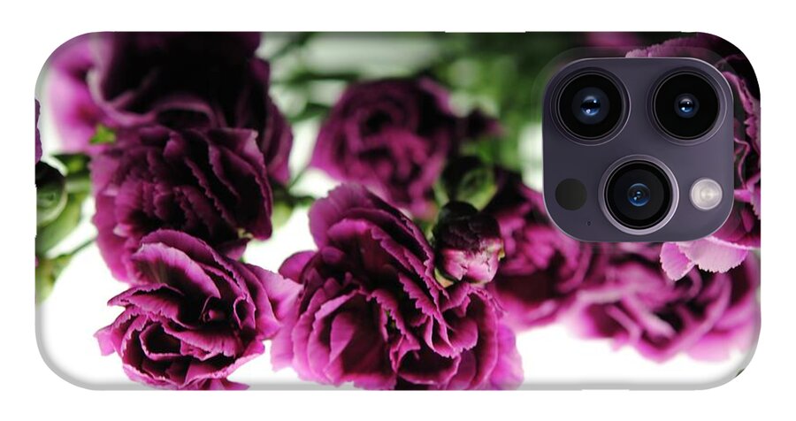 Pink and Purple Carnations On Lightbox - Phone Case