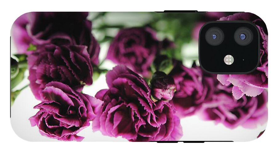 Pink and Purple Carnations On Lightbox - Phone Case