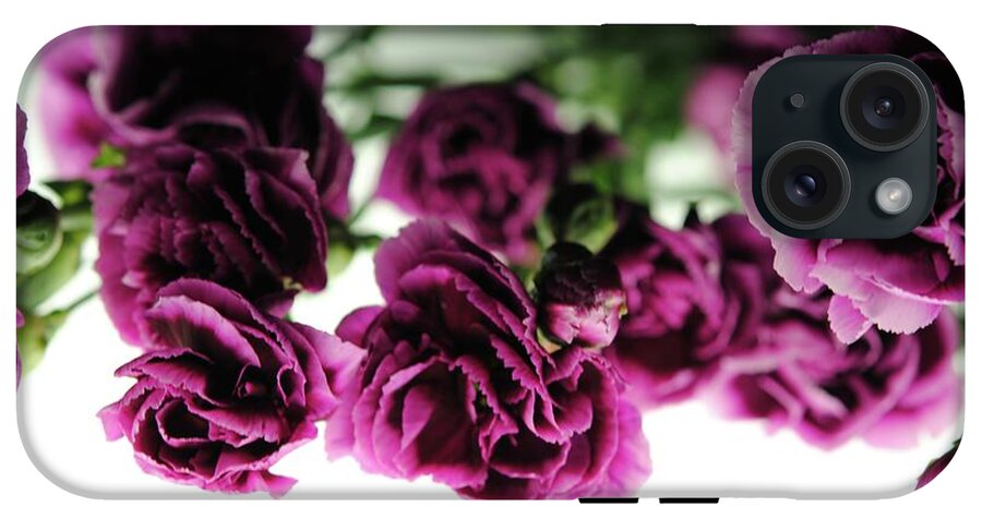 Pink and Purple Carnations On Lightbox - Phone Case