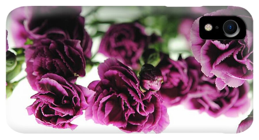 Pink and Purple Carnations On Lightbox - Phone Case