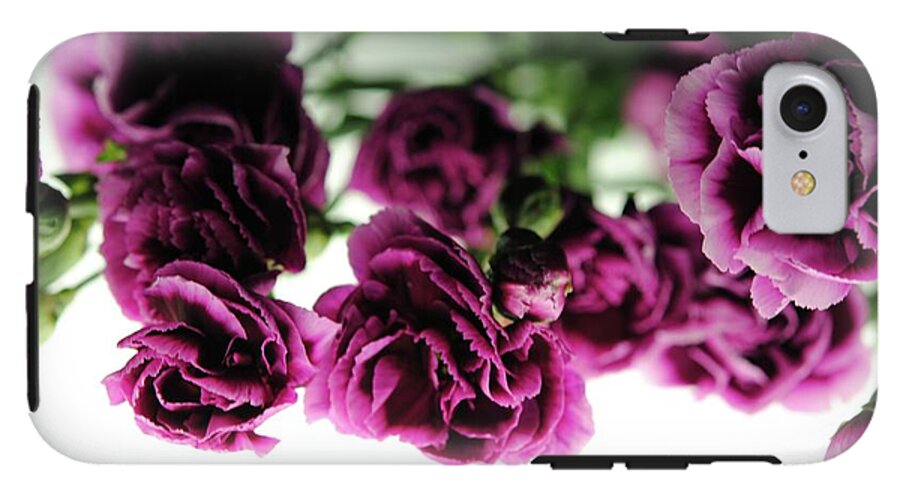 Pink and Purple Carnations On Lightbox - Phone Case