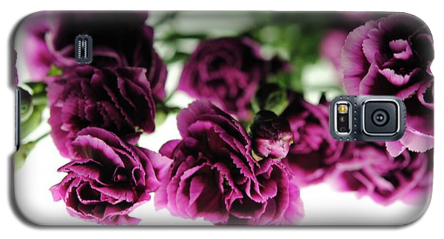 Pink and Purple Carnations On Lightbox - Phone Case