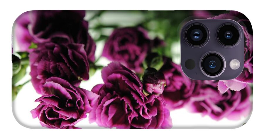 Pink and Purple Carnations On Lightbox - Phone Case