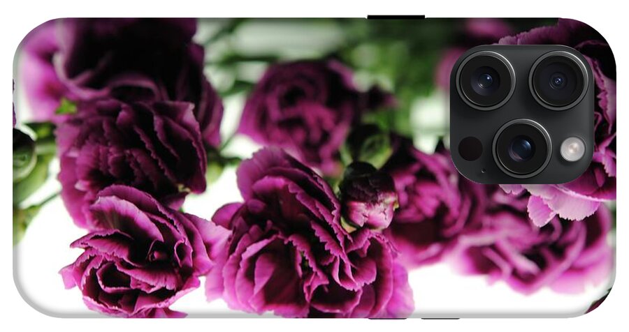 Pink and Purple Carnations On Lightbox - Phone Case