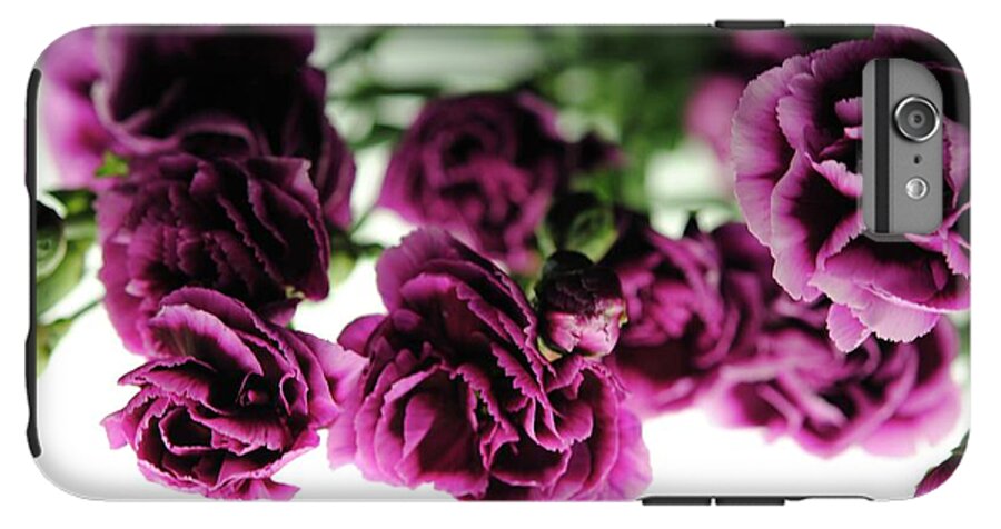 Pink and Purple Carnations On Lightbox - Phone Case