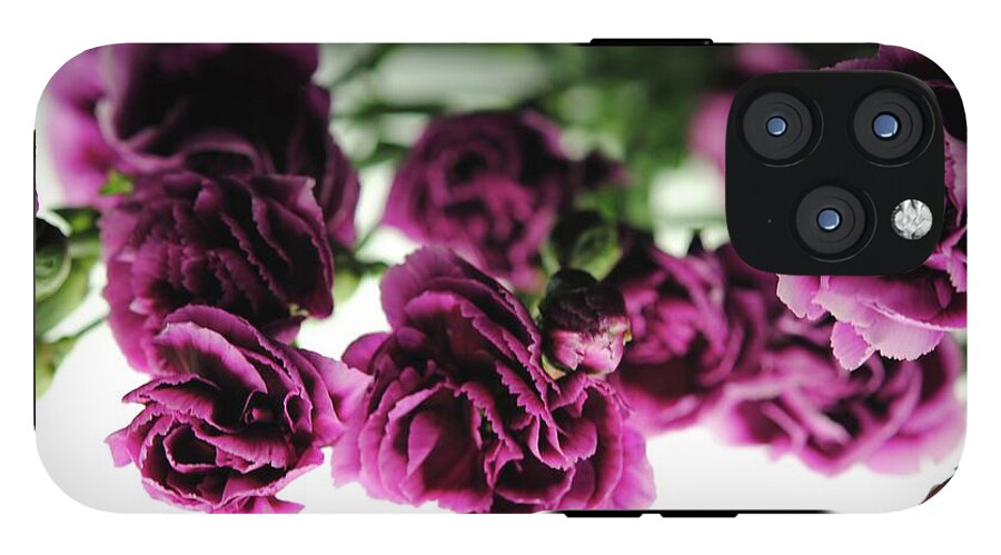 Pink and Purple Carnations On Lightbox - Phone Case