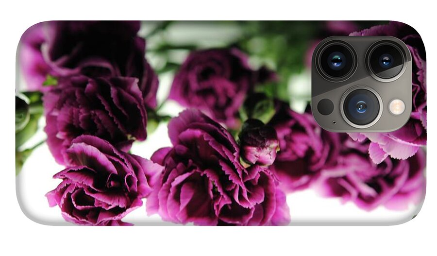 Pink and Purple Carnations On Lightbox - Phone Case