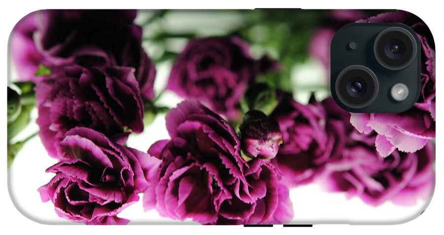 Pink and Purple Carnations On Lightbox - Phone Case