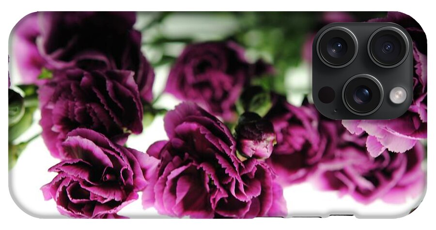 Pink and Purple Carnations On Lightbox - Phone Case