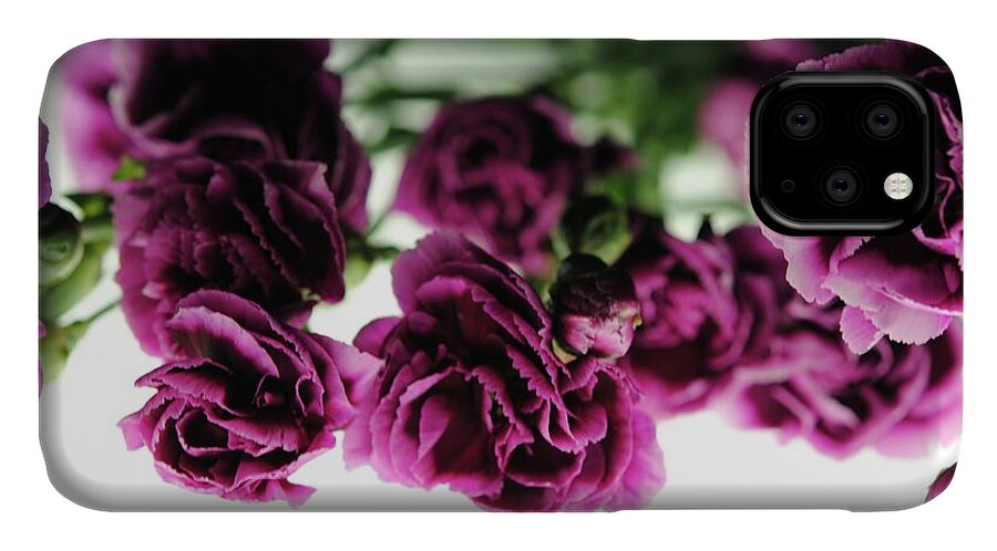 Pink and Purple Carnations On Lightbox - Phone Case