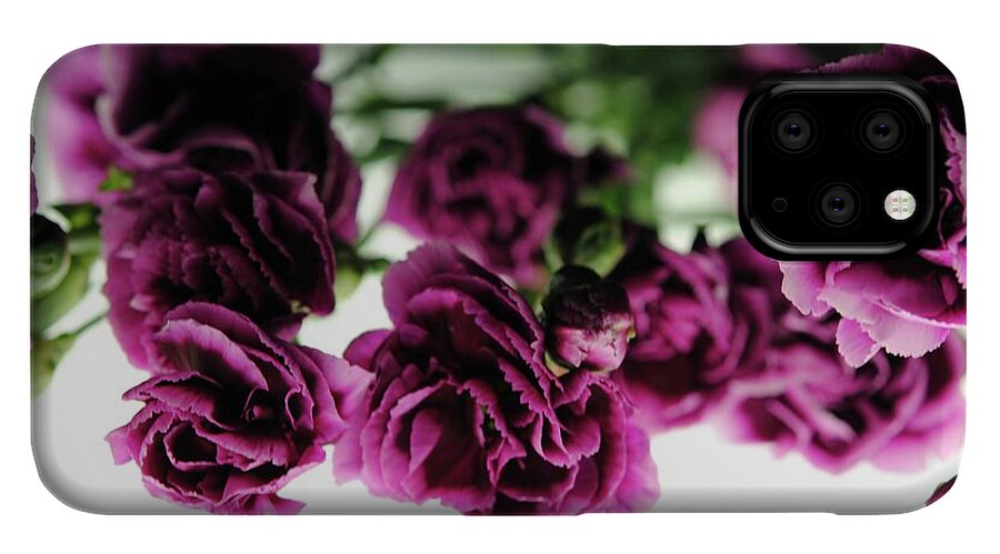 Pink and Purple Carnations On Lightbox - Phone Case