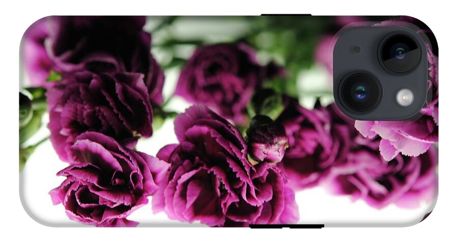 Pink and Purple Carnations On Lightbox - Phone Case