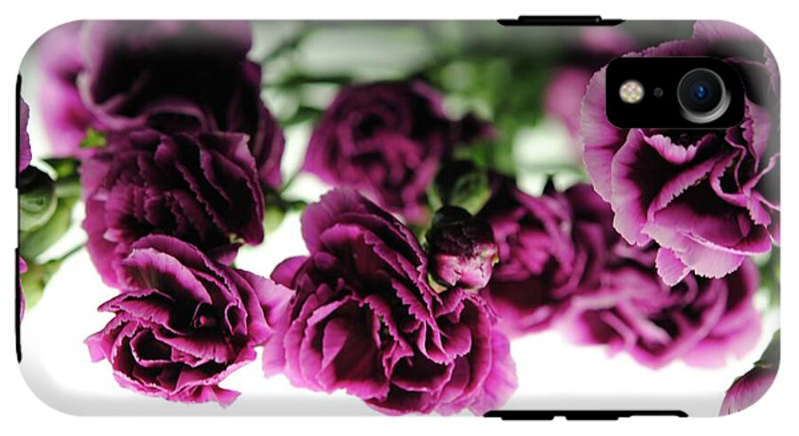 Pink and Purple Carnations On Lightbox - Phone Case