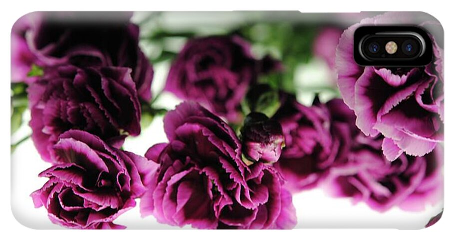 Pink and Purple Carnations On Lightbox - Phone Case