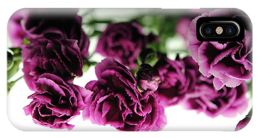 Pink and Purple Carnations On Lightbox - Phone Case