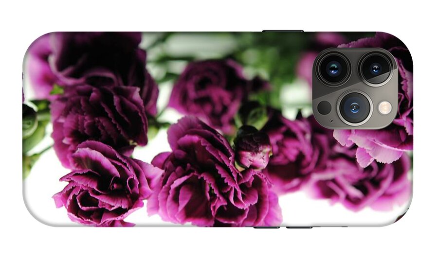 Pink and Purple Carnations On Lightbox - Phone Case