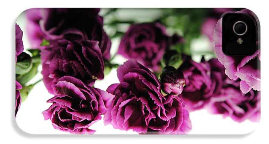 Pink and Purple Carnations On Lightbox - Phone Case