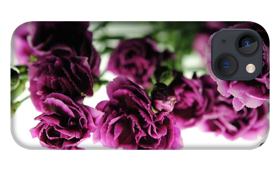 Pink and Purple Carnations On Lightbox - Phone Case