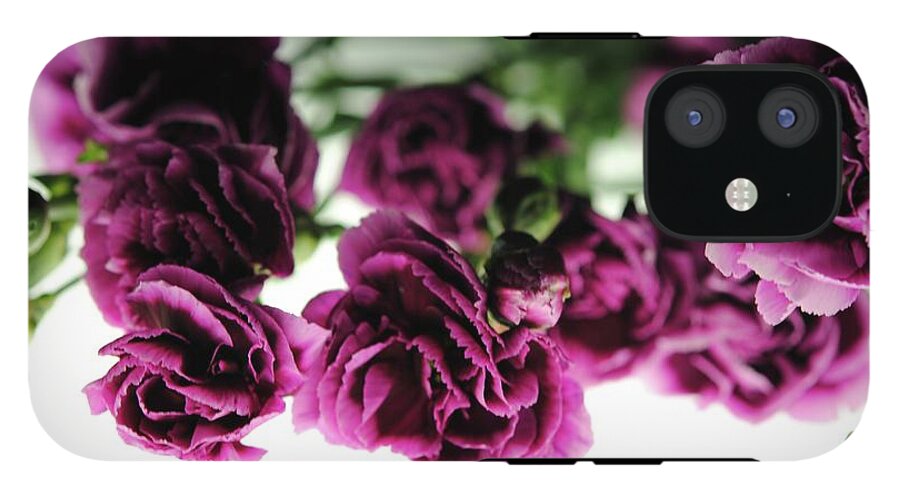 Pink and Purple Carnations On Lightbox - Phone Case