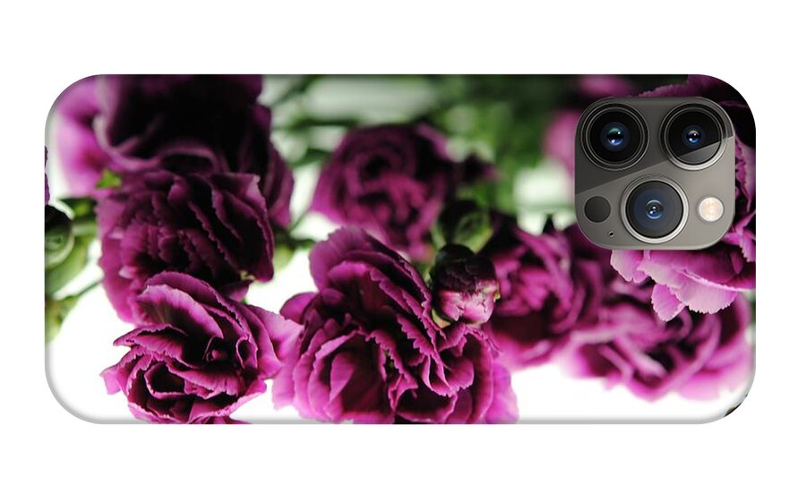 Pink and Purple Carnations On Lightbox - Phone Case