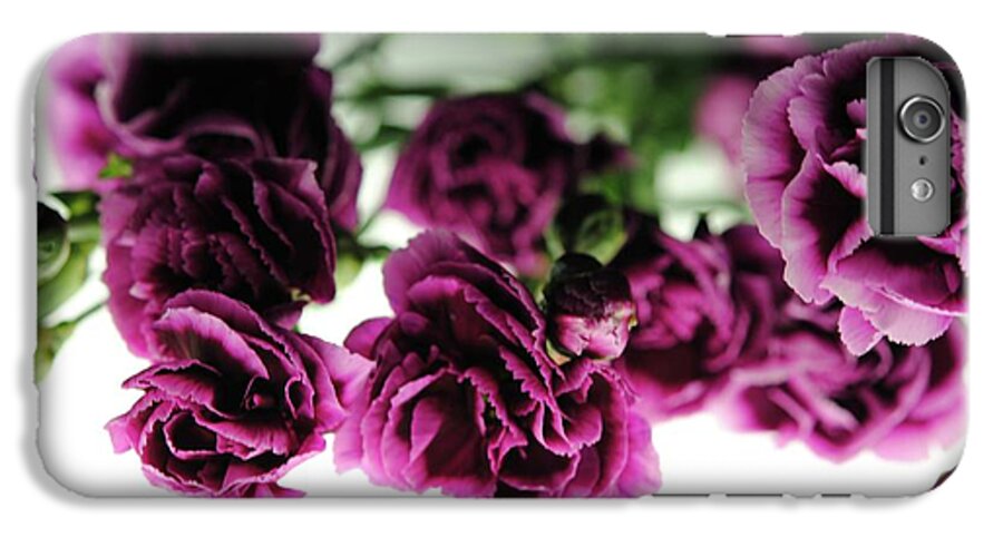 Pink and Purple Carnations On Lightbox - Phone Case