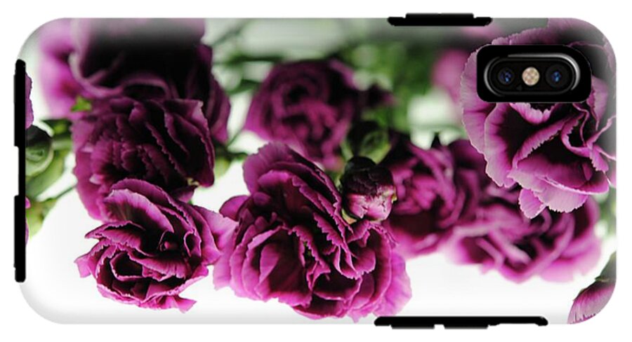 Pink and Purple Carnations On Lightbox - Phone Case