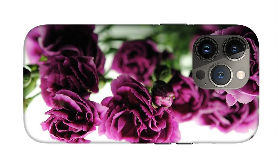 Pink and Purple Carnations On Lightbox - Phone Case